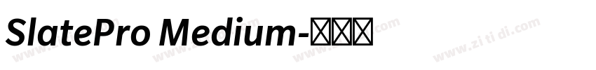 SlatePro Medium字体转换